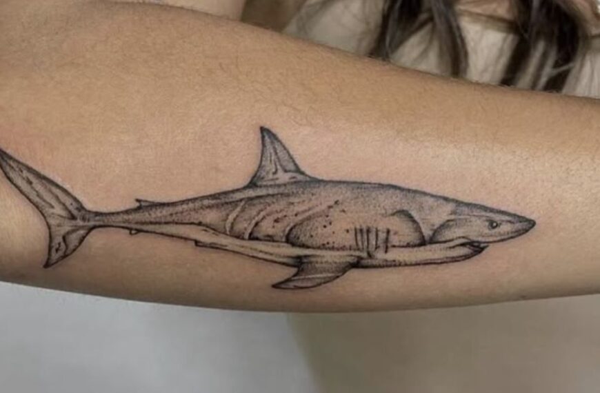 shark tattoo